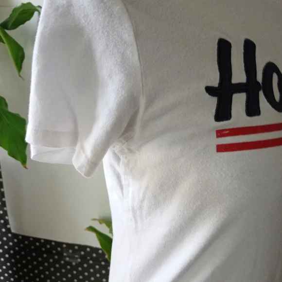 HOLLISTER easy embroidered graphic tee **eco-friendly** - Picture 2 of 7